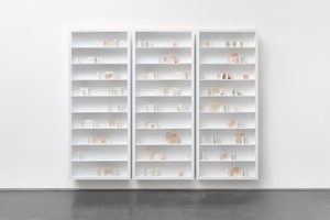Edmund de Waal