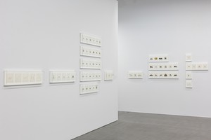 Installation view, Taryn Simon: A Soldier Is Taught to Bayonet the Enemy and Not Some Undefined Abstraction. Staatliche Kunstsammlungen, Dresden, Germany, October 27, 2016–January 15, 2017 Artwork © Taryn Simon. Photo: David Pinzer, courtesy Staatliche Kunstsammlungen, Dresden