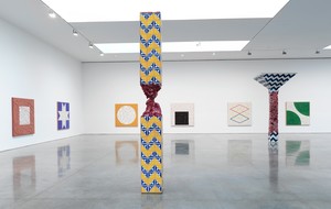 Adriana Varejão: For a Poetics of Difference
