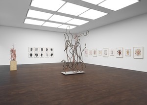 Installation view. Artwork © Christopher Wool. Photo: Maris Hutchinson