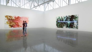 Mary Weatherford: I’ve Seen Gray Whales Go By