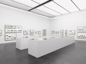 Installation view, Taryn Simon: Shouting Is under Calling. Kunstmuseum Luzern, Switzerland, February 24–June 16, 2018 Artwork © Taryn Simon. Photo: Annik Wetter Photographie, courtesy Gagosian