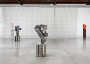 Installation view. Artwork © Carol Bove Studio LLC. Photo: Maris Hutchinson