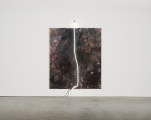 Mary Weatherford: The Flaying of Marsyas