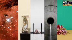 Taryn Simon and Teju Cole