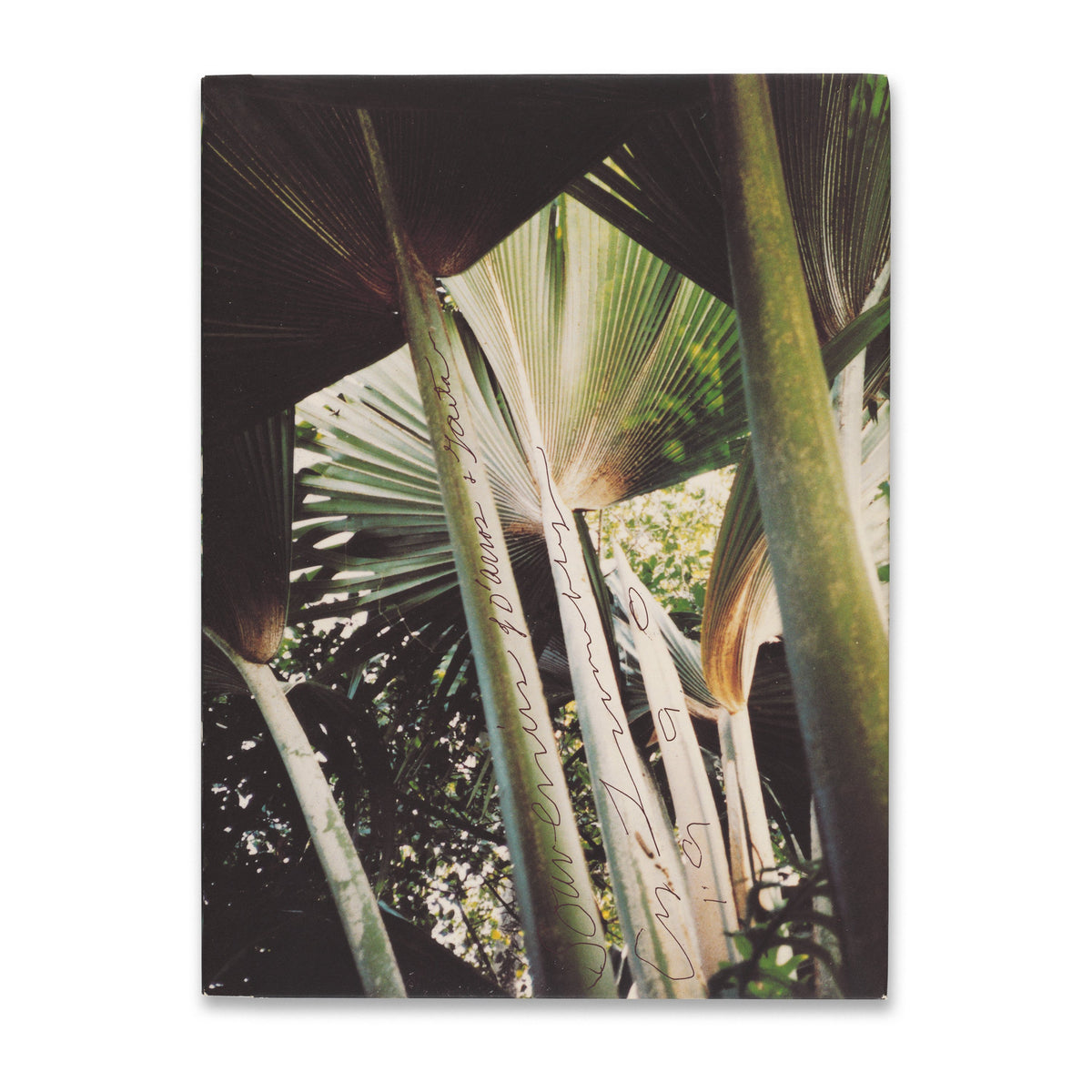 Cover of Cy Twombly: Souvenir of D’Arros and Gaeta