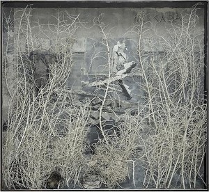 Anselm Kiefer, Merkaba, 2010. Photograph, acrylic, shellac, ash, cotton dress, burned books, and plaster coated thorn bushes in glass and steel frame, 111 × 120 ⅞ × 13 13/16 inches (282 × 307 × 35 cm) © Anselm Kiefer