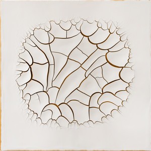 Adriana Varejão, Monocromo Roma I, 2016. Oil and plaster on canvas, 70 ⅞ × 70 ⅞ inches (180 × 180 cm) © Adriana Varejão, photo by Vicente de Mello