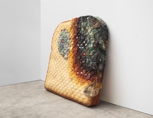 Kathleen Ryan: Time, Crafted